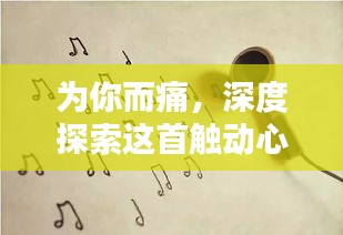 为你而痛，深度探索这首触动心灵之歌的魅力与难忘体验