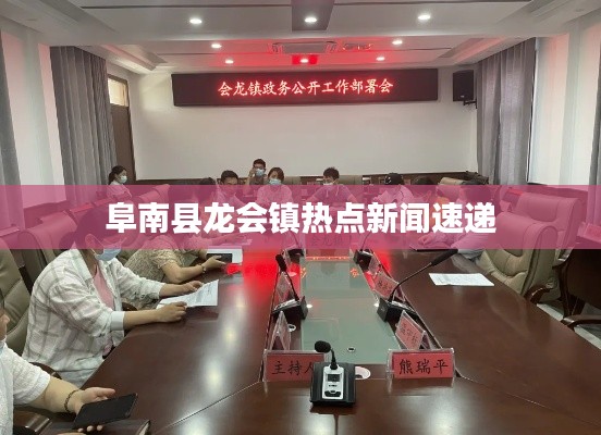 阜南县龙会镇热点新闻速递