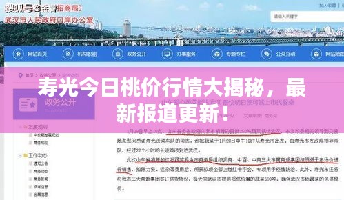 寿光今日桃价行情大揭秘，最新报道更新！