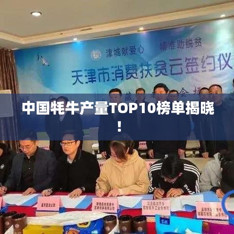 美轮美奂