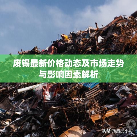 废锡最新价格动态及市场走势与影响因素解析