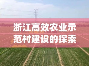 浙江高效农业示范村建设的探索之旅