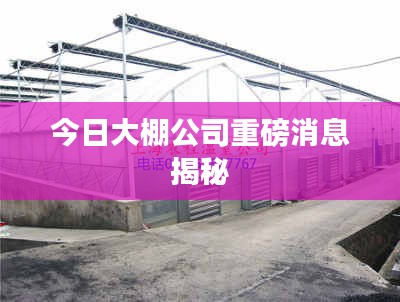 今日大棚公司重磅消息揭秘