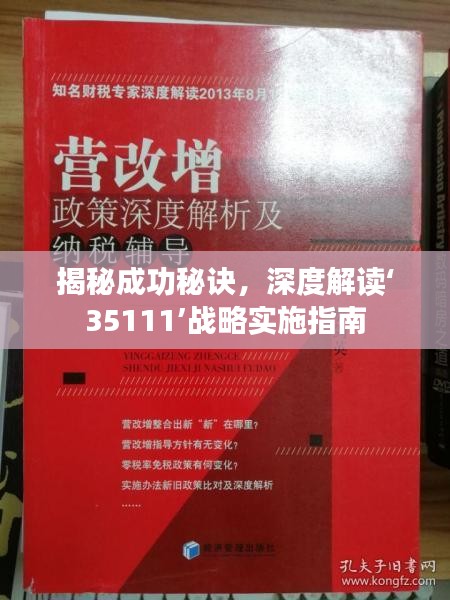 揭秘成功秘诀，深度解读‘35111’战略实施指南