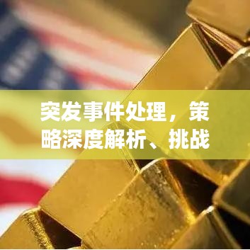 突发事件处理，策略深度解析、挑战应对及未来展望