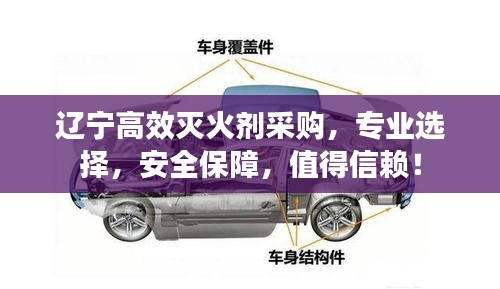 辽宁高效灭火剂采购，专业选择，安全保障，值得信赖！