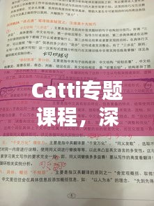 Catti专题课程，深度探索翻译领域的奥秘与魅力