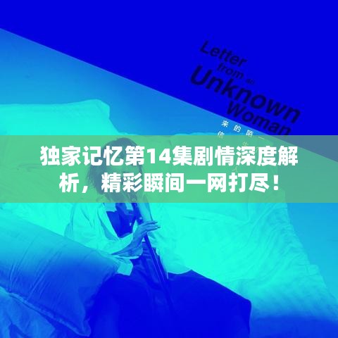 独家记忆第14集剧情深度解析，精彩瞬间一网打尽！