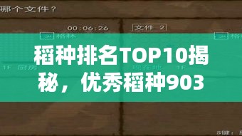 稻种排名TOP10揭秘，优秀稻种903的奥秘探索