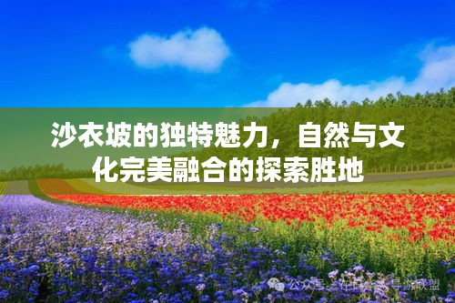 沙衣坡的独特魅力，自然与文化完美融合的探索胜地