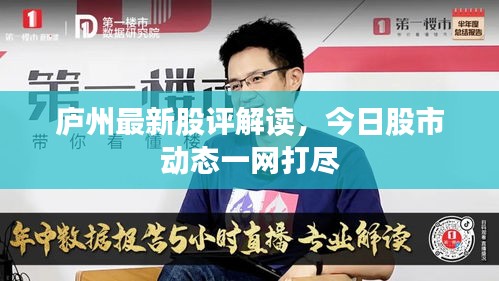 庐州最新股评解读，今日股市动态一网打尽