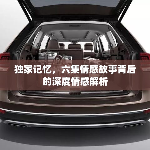 独家记忆，六集情感故事背后的深度情感解析