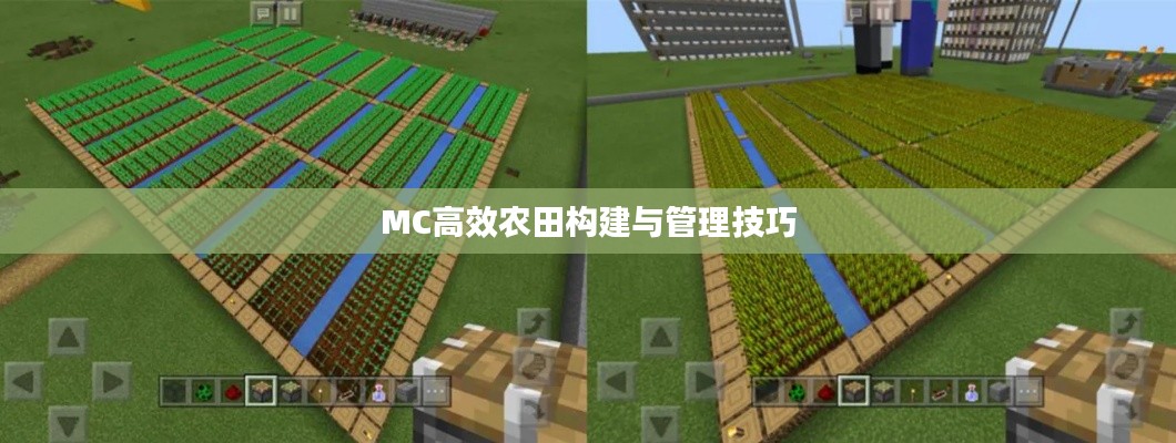 MC高效农田构建与管理技巧