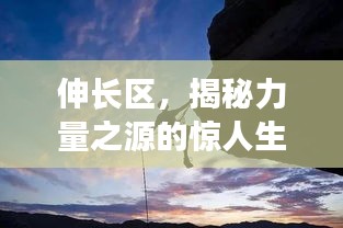 伸长区，揭秘力量之源的惊人生命力