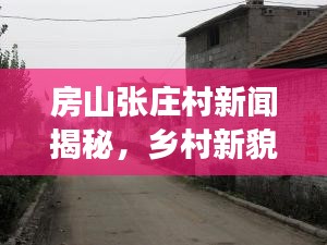 房山张庄村新闻揭秘，乡村新貌与时代变迁风采展