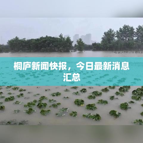 桐庐新闻快报，今日最新消息汇总