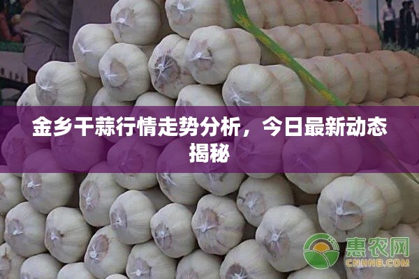 金乡干蒜行情走势分析，今日最新动态揭秘