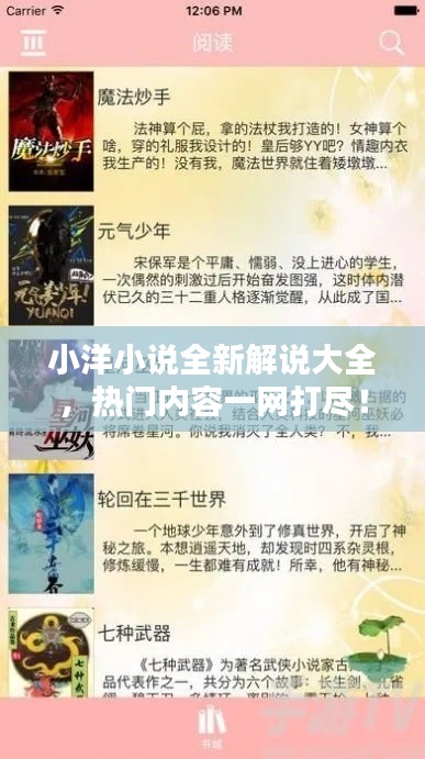 小洋小说全新解说大全，热门内容一网打尽！