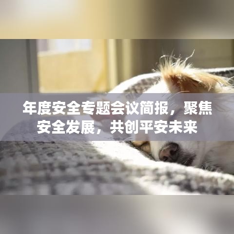 年度安全专题会议简报，聚焦安全发展，共创平安未来