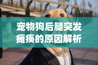 宠物狗后腿突发瘫痪的原因解析，常见因素与应对之策