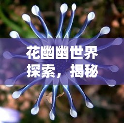 花幽幽世界探索，揭秘花的神秘面纱