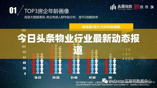 今日头条物业行业最新动态报道