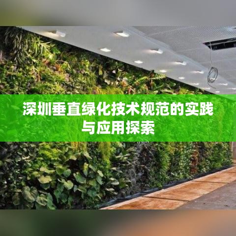 深圳垂直绿化技术规范的实践与应用探索