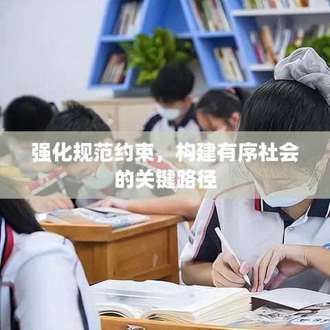 强化规范约束，构建有序社会的关键路径