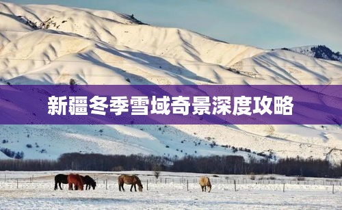 新疆冬季雪域奇景深度攻略
