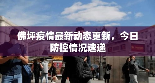 佛坪疫情最新动态更新，今日防控情况速递