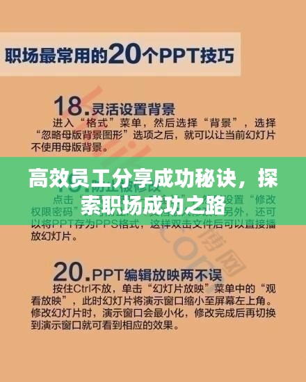 高效员工分享成功秘诀，探索职场成功之路