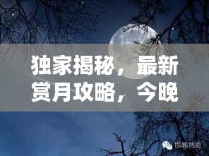 独家揭秘，最新赏月攻略，今晚赏月必备指南！