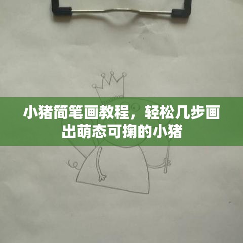 小猪简笔画教程，轻松几步画出萌态可掬的小猪