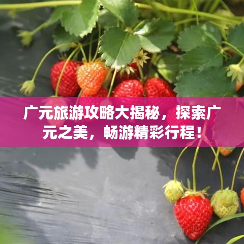 广元旅游攻略大揭秘，探索广元之美，畅游精彩行程！