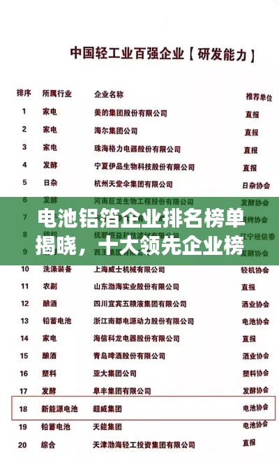 电池铝箔企业排名榜单揭晓，十大领先企业榜单重磅出炉！
