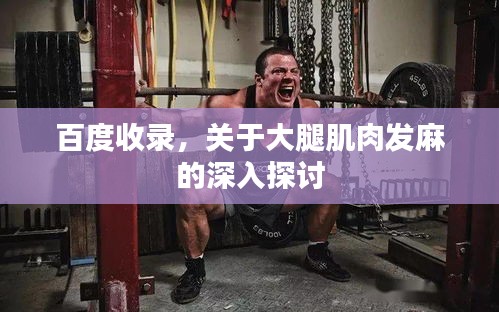 百度收录，关于大腿肌肉发麻的深入探讨