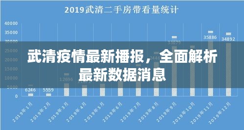 武清疫情最新播报，全面解析最新数据消息