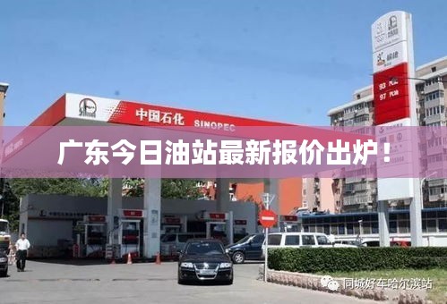 广东今日油站最新报价出炉！