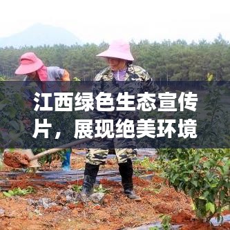 江西绿色生态宣传片，展现绝美环境，引领绿色之旅
