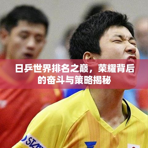 日乒世界排名之巅，荣耀背后的奋斗与策略揭秘