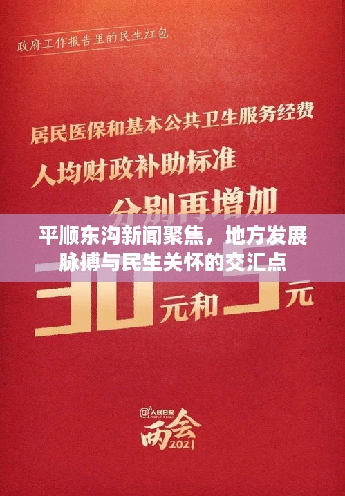平顺东沟新闻聚焦，地方发展脉搏与民生关怀的交汇点