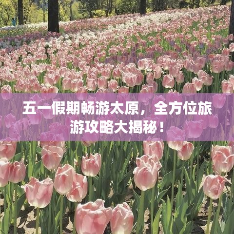 五一假期畅游太原，全方位旅游攻略大揭秘！