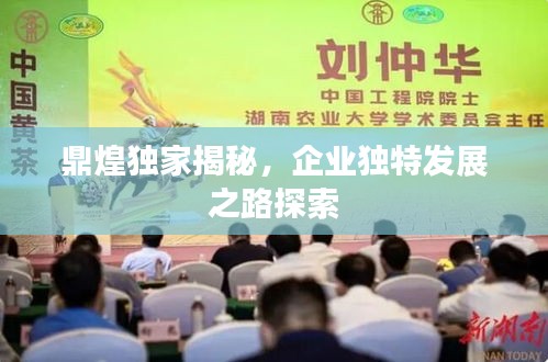 鼎煌独家揭秘，企业独特发展之路探索