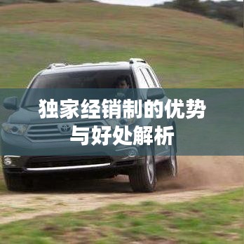 独家经销制的优势与好处解析
