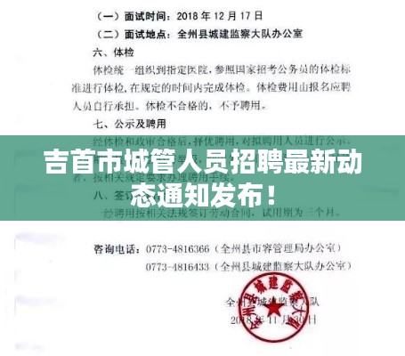 吉首市城管人员招聘最新动态通知发布！