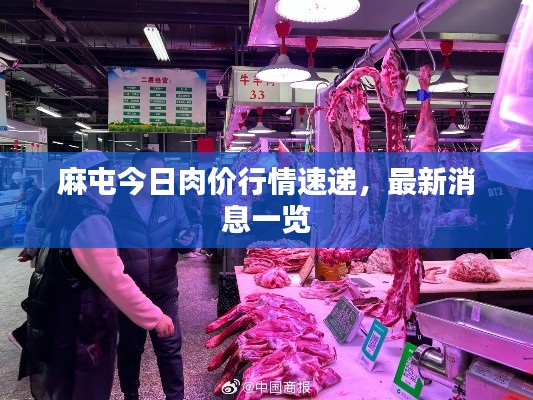 麻屯今日肉价行情速递，最新消息一览