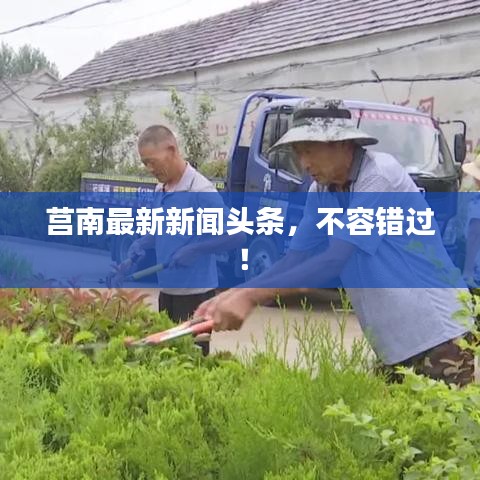 莒南最新新闻头条，不容错过！