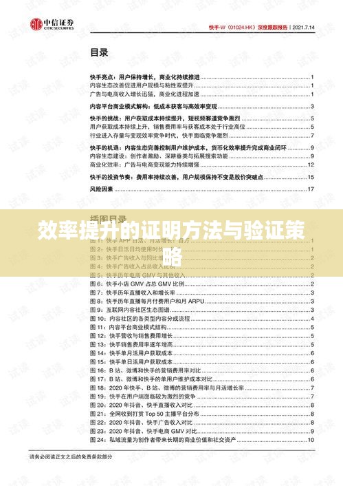 效率提升的证明方法与验证策略
