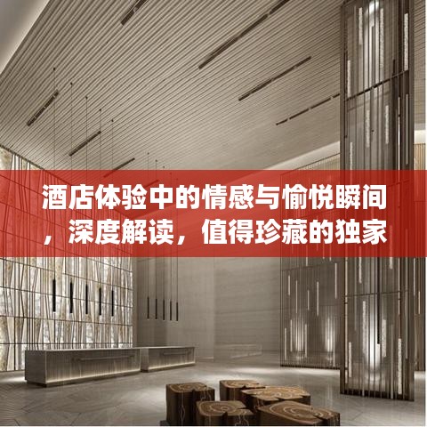 酒店体验中的情感与愉悦瞬间，深度解读，值得珍藏的独家体验！