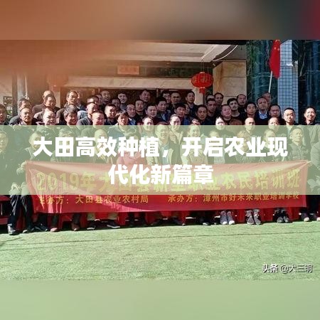 大田高效种植，开启农业现代化新篇章